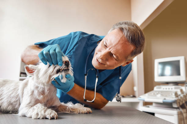 Best Emergency Root Canal Treatment in Pleasant Grove, AL